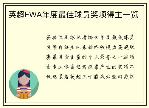 英超FWA年度最佳球员奖项得主一览